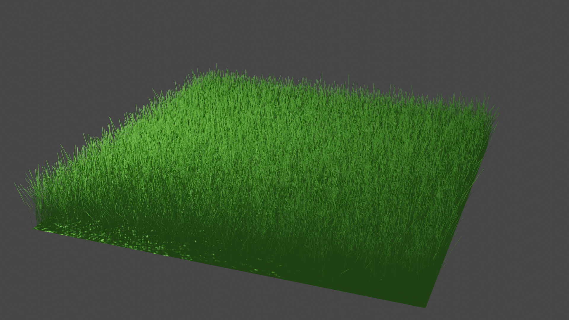 Grass texture
